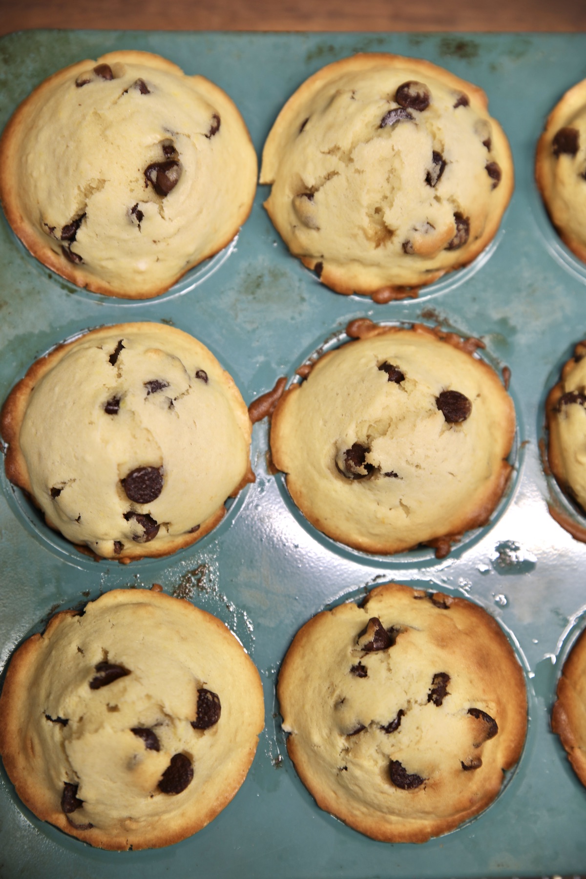 Baked muffins with chocolate chips in a tin.