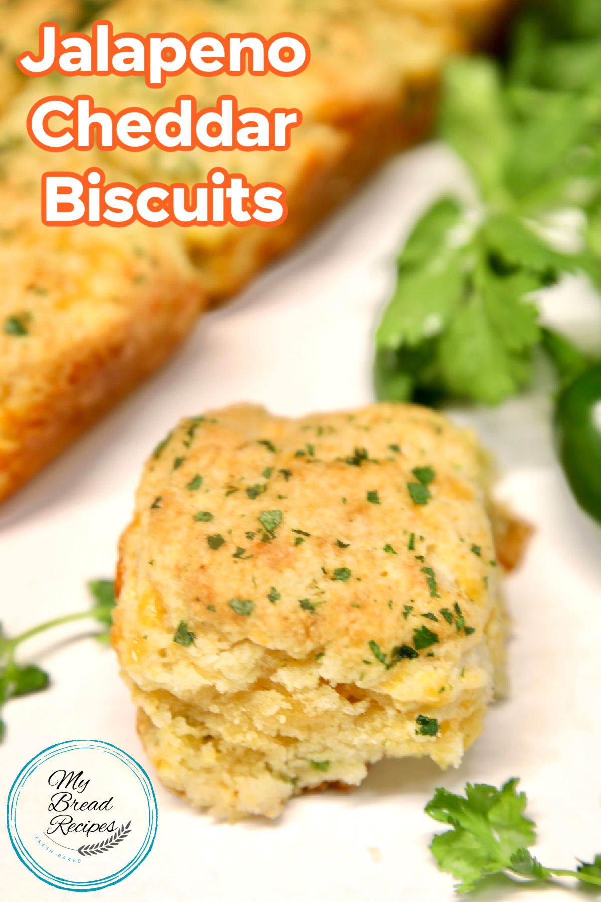 Jalapeno Cheddar Biscuit with cilantro - text overlay.