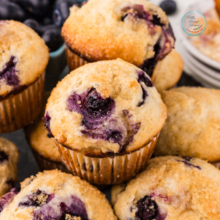 Fresh Homemade Sourdough Blueberry Muffins