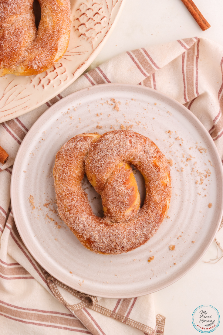 Cinnamon sugar coated pretzel on a white plate